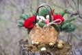 Beautiful winter bouquet of spruce, apples, carnations and cotton.