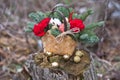 Beautiful winter bouquet of spruce, apples, carnations and cotton.