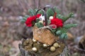 Beautiful winter bouquet of spruce, apples, carnations and cotton.