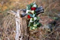 Beautiful winter bouquet of spruce, roses and cotton. The bride`s bouquet.