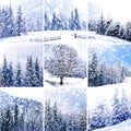 Beautiful winter collage