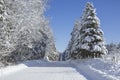 Beautiful winter country road Royalty Free Stock Photo