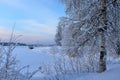 Beautiful winter day by the Lule River Royalty Free Stock Photo