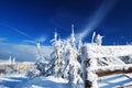 Beautiful winter day in mountains Royalty Free Stock Photo