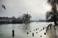 Beautiful winter day in the park, Parcul Tineretului in Bucharest. Sunset time birds flying, foggy cloudy day.Bucharest , Romania Royalty Free Stock Photo