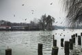 Beautiful winter day in the park, Parcul Tineretului in Bucharest. Sunset time birds flying, foggy cloudy day.Bucharest, Romania