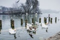 Beautiful winter day in the park, Parcul Tineretului in Bucharest. Sunset time birds flying, foggy cloudy day.Bucharest, Romania.L Royalty Free Stock Photo