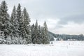 A beautiful winter day, Zakopane, Poland Royalty Free Stock Photo