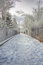 Beautiful winter footpath Royalty Free Stock Photo