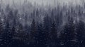 Beautiful winter forest with fir trees and falling snowflakes Royalty Free Stock Photo