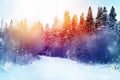 Beautiful winter forest landscape with snow flying and bokeh