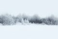 Beautiful winter forest landscape, trees covered snow Royalty Free Stock Photo