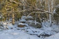 Beautiful winter forest landscape view. Fallen trees and big rocks covered with snow.