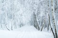 Beautiful winter forest and road, snow and frost, white beauty Royalty Free Stock Photo