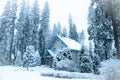 Beautiful winter forest and snow-covered house. Royalty Free Stock Photo