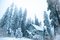 Beautiful winter forest and snow-covered house. Firs and pines in the snow Royalty Free Stock Photo