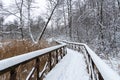 Beautiful Winter Forest Snow Scene With Deep Virgin Snow And Wooden Path Walkway Royalty Free Stock Photo