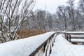 Beautiful winter forest snow scene with wooden path walkway after snowfall Royalty Free Stock Photo