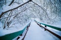Beautiful winter forrest Royalty Free Stock Photo