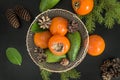 Beautiful winter fruits persimmons in the vintage metalic basket, fir branches, cones, avocados on the black background.