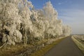 Beautiful winter landscape