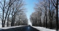 Beautiful winter landscape with asphalt road,forest and blue sky Royalty Free Stock Photo