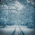 Beautiful Winter landscape background with snow covered trees and ice. Royalty Free Stock Photo