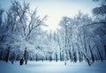 Beautiful Winter landscape background with snow covered trees and ice.