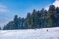 Beautiful winter landscape of Baisaran valley