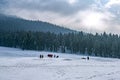 Beautiful winter landscape of Baisaran valley