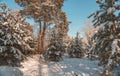 Beautiful winter landscape Royalty Free Stock Photo