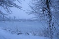 Beautiful winter landscape in blue tones. Snow-covered trees on the bank of a frozen river after a snowfall Royalty Free Stock Photo