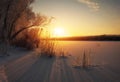 Beautiful winter landscape. The branches of the trees are covered with hoarfrost. Foggy morning sunrise. Colorful evening, bright Royalty Free Stock Photo