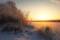 Beautiful winter landscape. The branches of the trees are covered with hoarfrost. Royalty Free Stock Photo