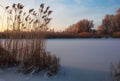 Beautiful winter landscape. The branches of the trees are covered with hoarfrost. Foggy morning sunrise. Colorful evening Royalty Free Stock Photo