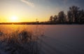 Beautiful winter landscape. The branches of the trees are covered with hoarfrost. Foggy morning sunrise. Colorful evening Royalty Free Stock Photo