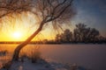 Beautiful winter landscape. The branches of the trees are covered with hoarfrost. Foggy morning sunrise. Colorful evening Royalty Free Stock Photo