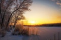 Beautiful winter landscape. The branches of the trees are covered with hoarfrost. Foggy morning sunrise. Royalty Free Stock Photo