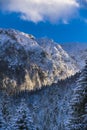 winter landscape with Carpati Piatra Craiului mountain Royalty Free Stock Photo