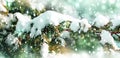 Beautiful winter landscape, close-up. Christmas tree branch in the snow, Snowfall effect Royalty Free Stock Photo