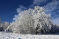 Beautiful winter landscape