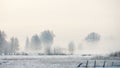 Beautiful winter landscape with fog over a snow-covered meadow and trees in frost on a frosty morning Royalty Free Stock Photo