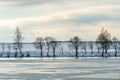 Beautiful winter landscape forest on the lake shore on a sunny frosty day. Panorama of the coastline covered with snow and birch Royalty Free Stock Photo