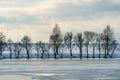 Beautiful winter landscape forest on the lake shore on a sunny frosty day. Panorama of the coastline covered with snow and birch Royalty Free Stock Photo