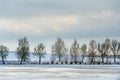 Beautiful winter landscape forest on the lake shore on a sunny frosty day. Panorama of the coastline covered with snow and birch Royalty Free Stock Photo