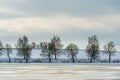 Beautiful winter landscape forest on the lake shore on a sunny frosty day. Panorama of the coastline covered with snow and birch Royalty Free Stock Photo