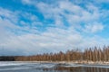 Beautiful winter landscape forest on the lake shore on a sunny frosty day. Panorama of the coastline covered with snow and birch Royalty Free Stock Photo