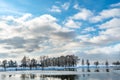 Beautiful winter landscape forest on the lake shore on a sunny frosty day. Panorama of the coastline covered with snow and birch Royalty Free Stock Photo