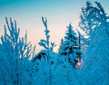 Beautiful winter landscape with the forest and sunset