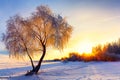 Beautiful winter landscape with forest, trees covered snow and sunrise Royalty Free Stock Photo